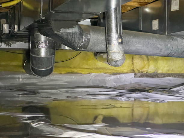 Best Professional water damage repair  in Three Rivers, MI