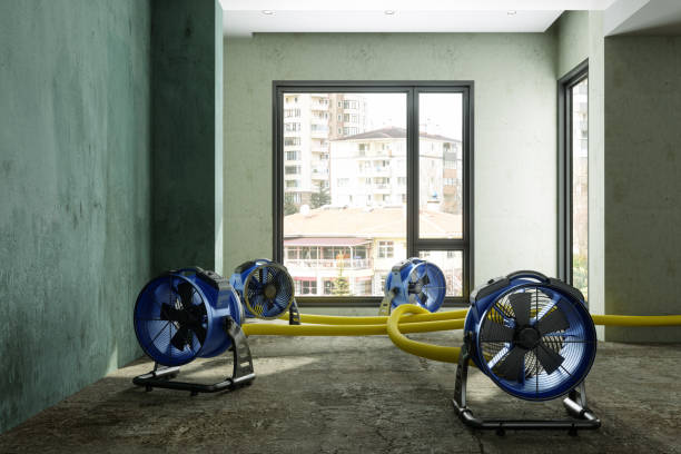 Best Local water damage restoration  in Three Rivers, MI